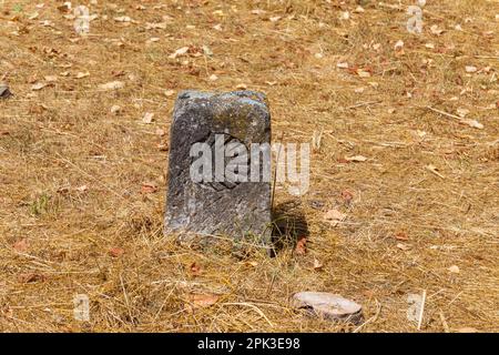 Jakobsmuschel, touristisches Symbol des Camino de Santiago, das Richtung Camino Norte in Spanien zeigt. Kolumne signiert den Weg nach Santiago De Compostela Stockfoto