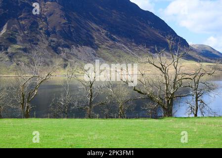 Crummock Water, Lake District, Cumbria, Großbritannien. Blick über den Melbreak Hill, von der B5289. Auf der Ostseite des Sees aus gesehen. Anfang April Stockfoto