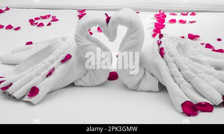 Zwei Schwäne aus Handtüchern küssen sich auf dem weißen Flitterwochen-Bett. Cremefarbenes Kissen und Herzform, valentinstag-Signatur aus roter Rosenblüte auf Bettdeko Stockfoto