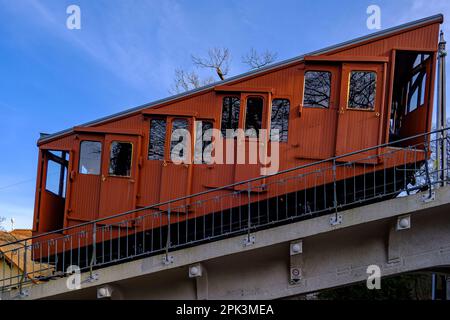 Ein renovierter Bus der Oberen Heidelberger Bergbahn verlässt den Bahnhof Molkenkur in kleiner Gaisberg, Heidelberg, Baden-Württemberg. Stockfoto