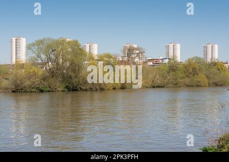 Brentford Ait an der Themse mit Brentford Towers Estate im Hintergrund, Brentford, Middlesex, England, Großbritannien Stockfoto