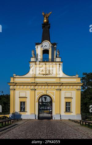 Haupteingang zum historischen Branicki-Palast im rokoko-Stil in Bialystok, Polen Stockfoto