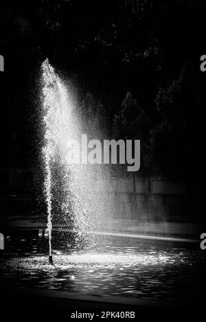 Windsprühwasser von der Hintergrundbeleuchtung des Sonnenbrunnens, Schwarz-Weiß-Bild Stockfoto