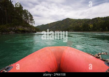 Rafting und Bootsfahrten auf dem Fluss Katun im Altai in Russland. First-Person anzeigen. Stockfoto