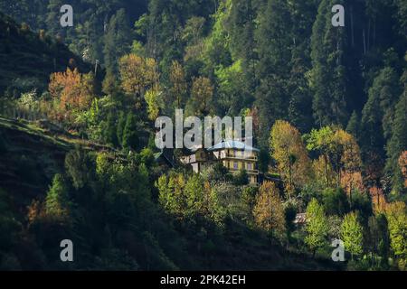 Häuser in Lachung, Lachung Valley, Stadt und eine wunderschöne Bergstation im Nordosten von Sikkim, Indien. Der Zusammenfluss der Flüsse Lachung und Lachung, Autum Stockfoto