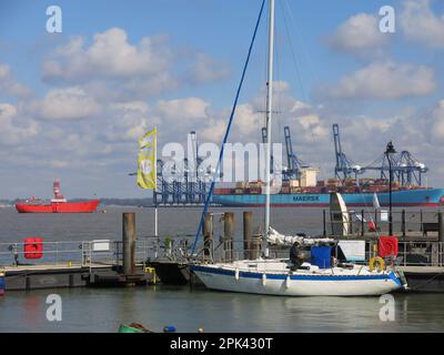 Schiffe aller Formen und Größen, von Maersk Containerschiffen bis zu kleinen Fischerbooten; ein Bienenstock maritimer Aktivitäten in Harwich und Felixstowe. Stockfoto