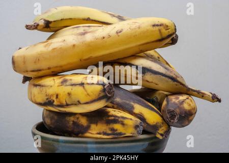 Reife Bananen in New York am Sonntag, den 2. April 2023. (© Richard B. Levine) Stockfoto