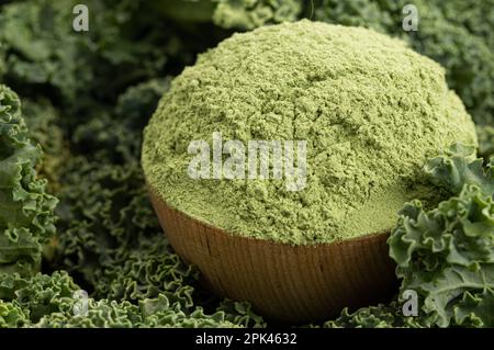 Schüssel Grünkohl-Pulver auf einem Bett mit Grünkohl-Blättern Stockfoto