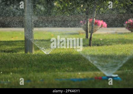 Automatische Sprinkler zur Bewässerung des Grüngrases im Park. Bewässerungssystem Stockfoto