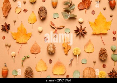 Flache Laienzusammensetzung mit Herbstblättern auf hellorangefarbenem Hintergrund Stockfoto