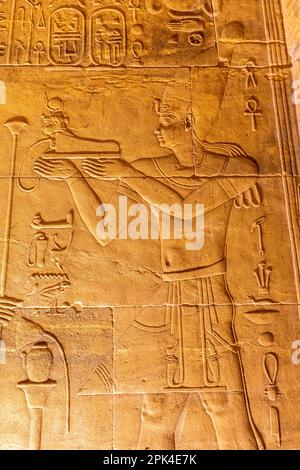 Steinschnitzereien und Hieroglyphen im Heiligtum am Tempel der Isis im Philae-Tempelkomplex, Agilkia Island, Assuan, Ägypten, Nordostafrika Stockfoto