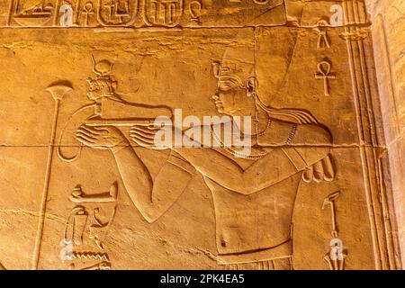 Steinschnitzereien und Hieroglyphen im Heiligtum am Tempel der Isis im Philae-Tempelkomplex, Agilkia Island, Assuan, Ägypten, Nordostafrika Stockfoto