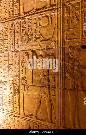 Steinschnitzereien und Hieroglyphen im Heiligtum am Tempel der Isis im Philae-Tempelkomplex, Agilkia Island, Assuan, Ägypten, Nordostafrika Stockfoto