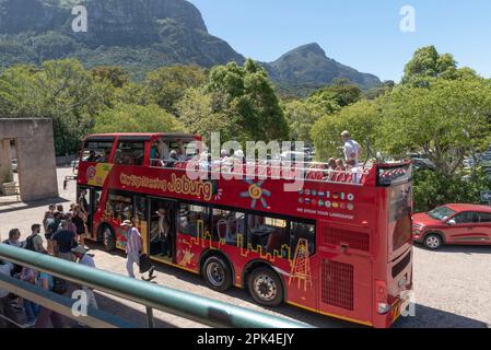 Kapstadt, Südafrika. 2023 Uhr. Roter Tourbus und Passagiere in den botanischen Gärten vor dem Hintergrund des Tafelbergs. Stockfoto