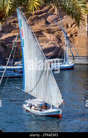 Felukken Auf Dem Nil, Assuan, Ägypten, Nordostafrika Stockfoto