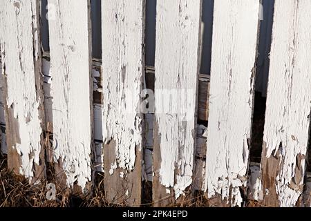 Ein Holzzaun, wo die weiße Farbe abblättert Stockfoto
