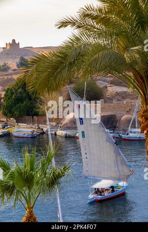 Felukken Auf Dem Nil, Assuan, Ägypten, Nordostafrika Stockfoto