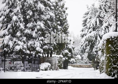 Schwarzes Eingangstor, umgeben von schneebedeckten Straßen und hohen Bäumen Stockfoto