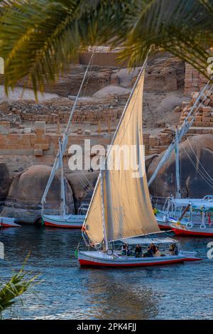 Felukken Auf Dem Nil, Assuan, Ägypten, Nordostafrika Stockfoto