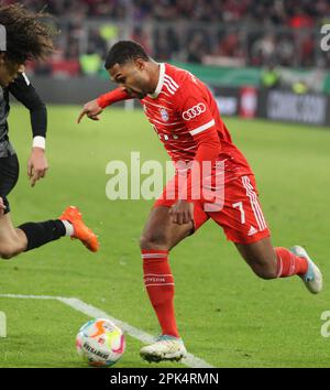 München, Deutschland 04. April 2023. MÜNCHEN, DEUTSCHLAND - 04. APRIL: 7 Serge GNABRY während des Viertelfinalspiels des DFB Cup zwischen dem FC Bayern München und dem SC Freiburg in der Allianz Arena am 04. April 2023 in München.DFB-Pokal - DFB Cup - Fußballspiel zwischen dem FC Bayern München und dem SC FREIBURG am 4 in München. 2023. April 1:2 – DFB Fussball (Foto und Copyright @ ATP images/Arthur THILL (THILL Arthur/ATP/SPP). Kredit: SPP Sport Press Photo. Alamy Live News Stockfoto