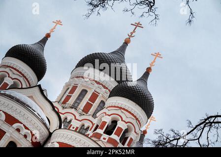 Eine majestätische Alexander-Nevsky-Kathedrale von einer einzigartigen Aussicht, die ihre komplexen Zwiebelkuppeln und gotische Architektur vor einem winterweißen Himmel zeigt. Stockfoto