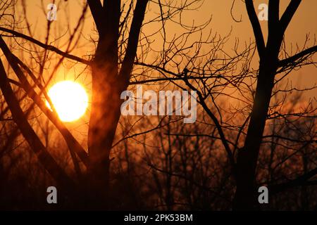 Sonnenuntergang im Oakes Quarry Park in Fairborn, Ohio, USA Stockfoto