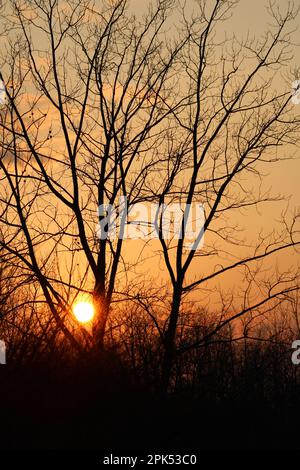 Sonnenuntergang im Oakes Quarry Park in Fairborn, Ohio, USA Stockfoto