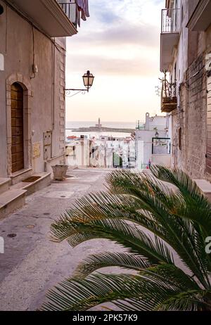 Vieste, Foggia, Italien 30. Juni 2021 Blick von der Altstadt von Vieste zum aktiven Leuchtturm auf der Insel Santa Eufemia bei Sonnenaufgang Stockfoto