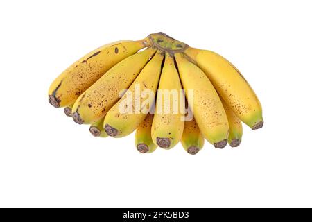 Ein Haufen reifer Bananenfrüchte mit Zuckerflecken auf weiß isoliert. Cavendische Sorte von Musa acuminata. Stockfoto