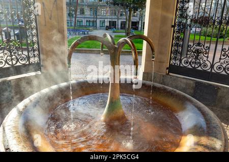 Der Kochbrunnen in Wiesbaden ist die berühmteste heiße Quelle der Stadt. Es ist eine heiße Kochsalzquelle. Stockfoto