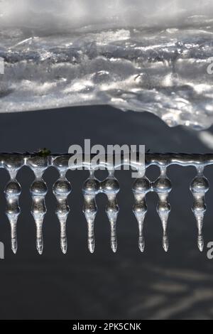 Eisgirlande... Eiszapfen ( Winterflut 2020/2021 ), Eisbildung auf Stacheldrahtzaun unter Wind- und Wettereinfluss Stockfoto