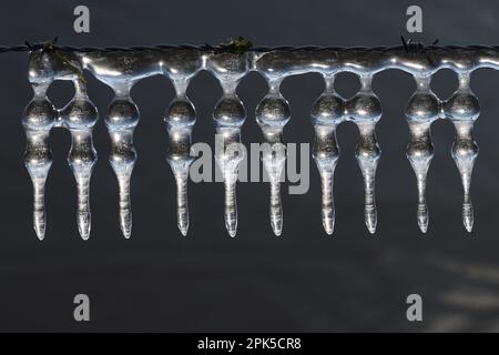 Eisgirlande... Eiszapfen ( Winterflut 2020/2021 ), Eisbildung auf Stacheldrahtzaun unter Wind- und Wettereinfluss Stockfoto