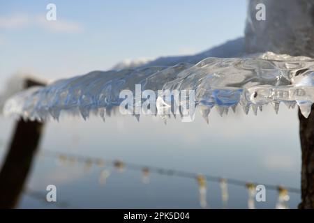 Eisformationen auf Stacheldraht... Eiszapfen ( Winterflut 2020/2021 ), Winterzeit am Niederrhein Stockfoto