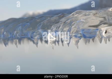 Eisformationen auf Stacheldraht... Eiszapfen ( Winterflut 2020/2021 ), Winterzeit am Niederrhein Stockfoto