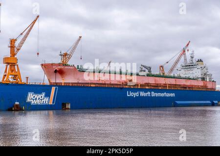 Lloyd Werft, Trockendock, Frachter Atlantic Journey, Werft im Überseehafen Bremerhaven, Bremen, Deutschland Stockfoto