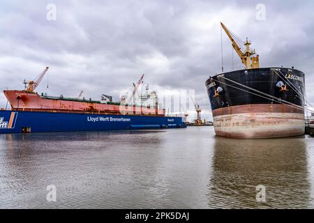 Lloyd Werft, Trockendock, Frachter Atlantic Journey, Werft im Überseehafen Bremerhaven, Bremen, Deutschland Stockfoto