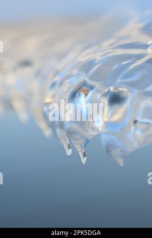 Eis... Eisbildung ( Winterflut 2020/2021 ), auftauende Eisplatte durch Wind und Wetter, Eisskulptur auf einem Stacheldrahtzaun Stockfoto