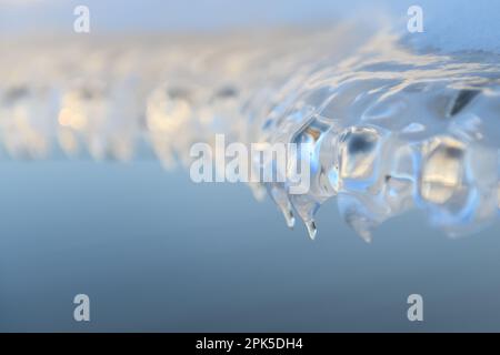 Eis... Eisbildung ( Winterflut 2020/2021 ), auftauende Eisplatte durch Wind und Wetter, Eisskulptur auf einem Stacheldrahtzaun Stockfoto