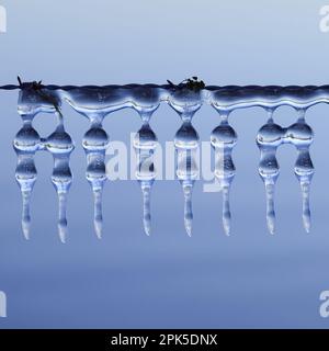 Eisdekoration... Eiszapfen ( Winterflut 2020/2021 ) auf einem Weidezaun, geformt durch Wind und Wetter, ein Freak der Natur Stockfoto