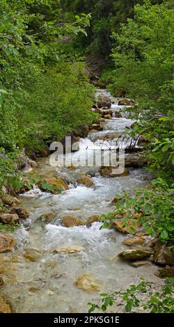 Bach in den Bergen, Santa Maddalena in den Dolomiten, Italien Stockfoto