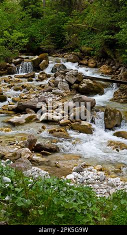 Bach in den Bergen, Santa Maddalena in den Dolomiten, Italien Stockfoto