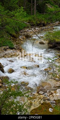 Bach in den Bergen, Santa Maddalena in den Dolomiten, Italien Stockfoto