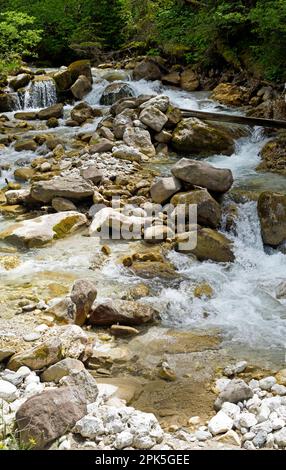 Bach in den Bergen, Santa Maddalena in den Dolomiten, Italien Stockfoto