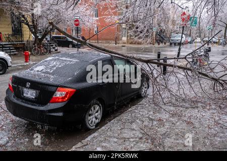 Montreal, KANADA - 5. April 2023: Auto unter zerbrochenem eiskalten Baum nach eiskaltem Regen Stockfoto