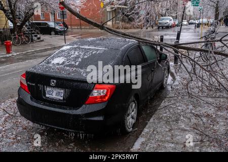 Montreal, KANADA - 5. April 2023: Auto unter zerbrochenem eiskalten Baum nach eiskaltem Regen Stockfoto