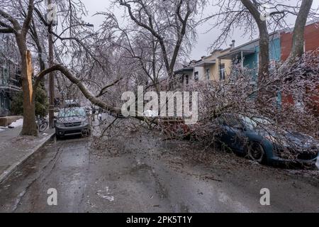 Montreal, KANADA - 5. April 2023: Auto unter zerbrochenem eiskalten Baum nach eiskaltem Regen Stockfoto