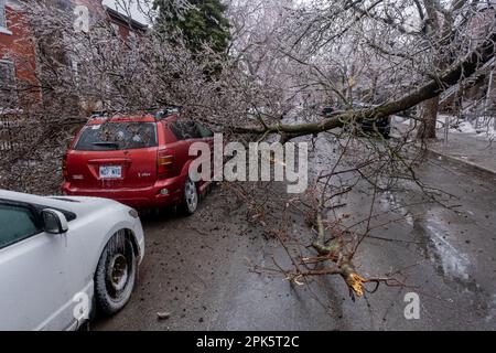 Montreal, KANADA - 5. April 2023: Auto unter zerbrochenem eiskalten Baum nach eiskaltem Regen Stockfoto