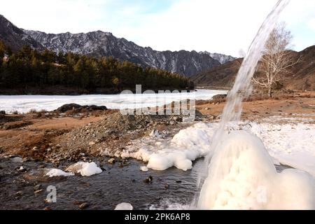 An einem sonnigen Wintertag fließt ein schmaler Fluss in ein felsiges Nebenwasser am Ufer eines wunderschönen Flusses, der von Bergen umgeben ist. Altai, Sibirien, Stockfoto