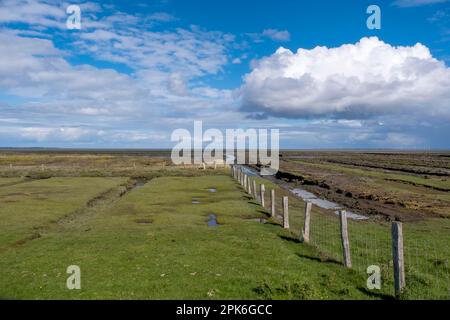 Salzmoore, Foehr, Nordfriesische Insel, Nordfriesien, Schleswig-Holstein, Deutschland Stockfoto