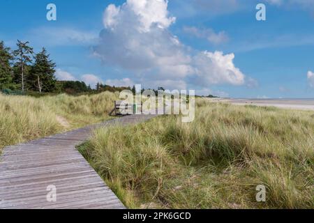 Hölzerne Fußgängerbrücke in den Dünen zwischen Nieblum und GrevelingInsel, Foehr, Nordfriesische Insel, Nordfriesien, Schleswig-Holstein, Deutschland Stockfoto